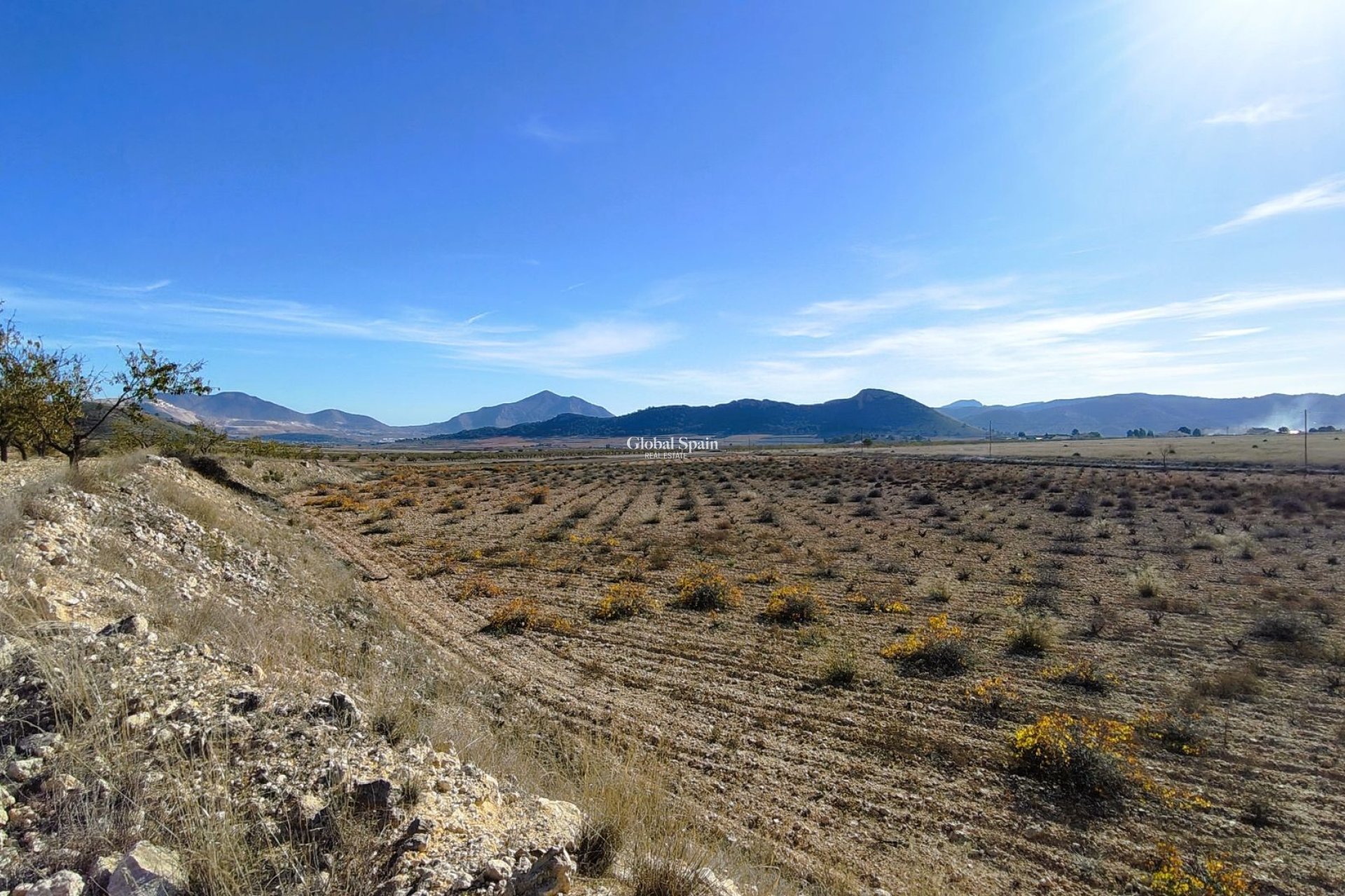 Venta - TERRENO -
CAÑADA DEL TRIGO - Inland