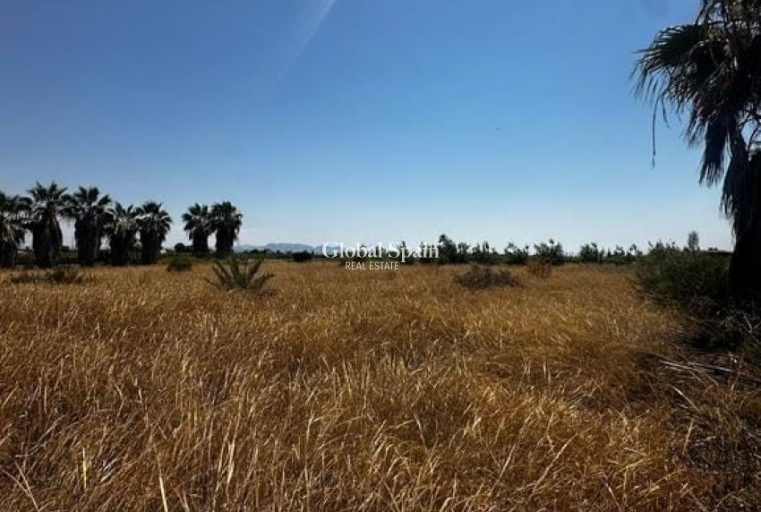 Venta - TERRENO -
ELCHE - Costa Blanca