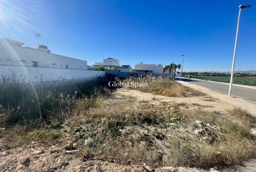 Venta - TERRENO -
FORMENTERA DEL SEGURA - Costa Blanca