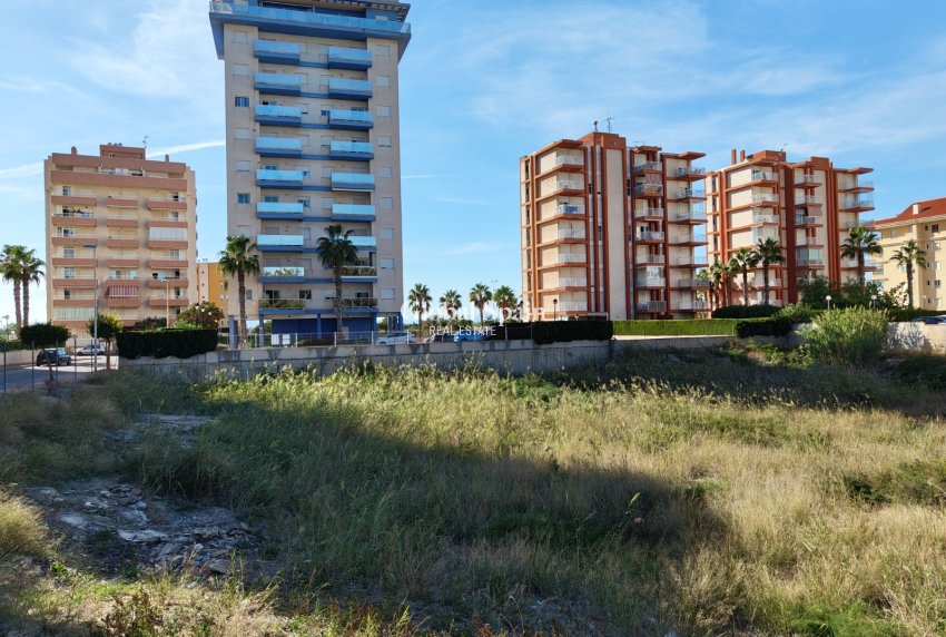 Venta - TERRENO -
GUARDAMAR DEL SEGURA - Guardamar pueblo
