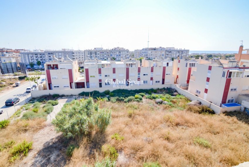 Venta - TERRENO -
GUARDAMAR DEL SEGURA