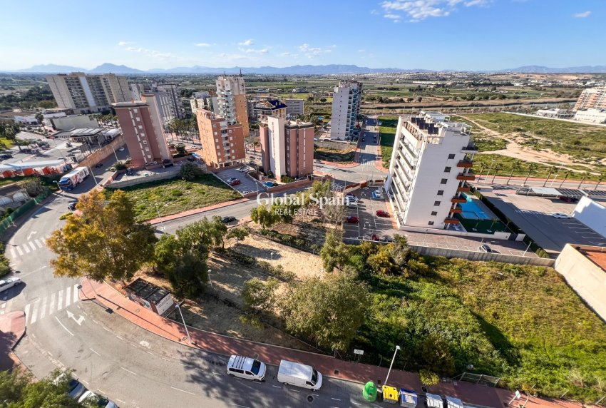 Venta - TERRENO -
GUARDAMAR DEL SEGURA