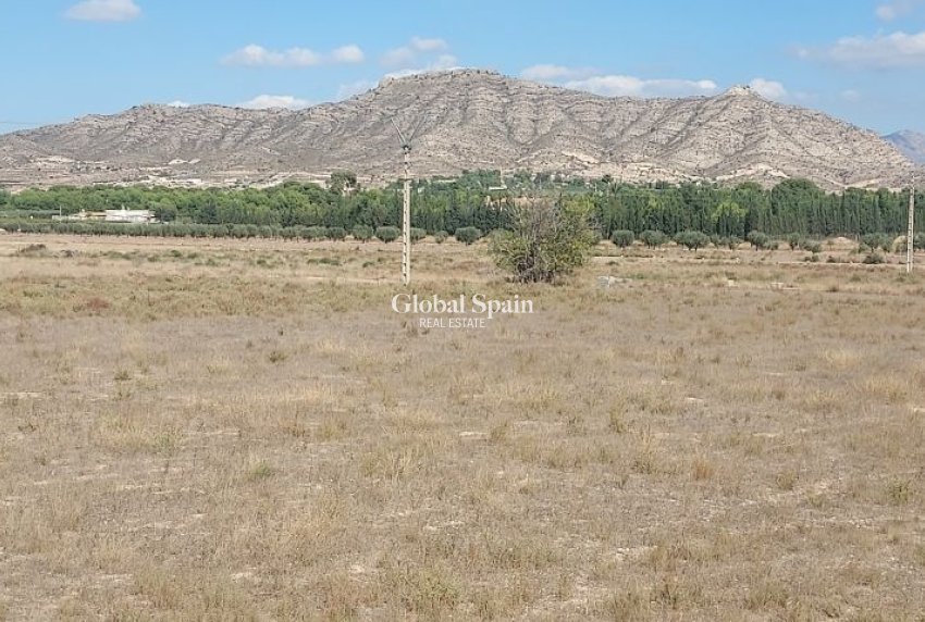 Venta - TERRENO -
HONDÓN DE LAS NIEVES - Inland