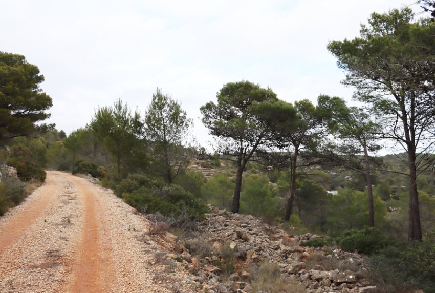 Venta - TERRENO -
JALÓN - Inland