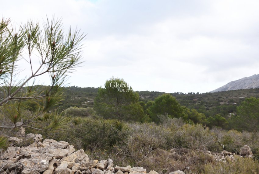 Venta - TERRENO -
JALÓN - Inland