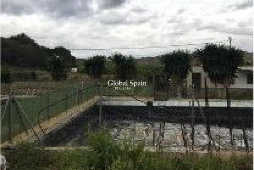 Venta - TERRENO -
ORIHUELA - Desamparados-hurchillo-torremendo