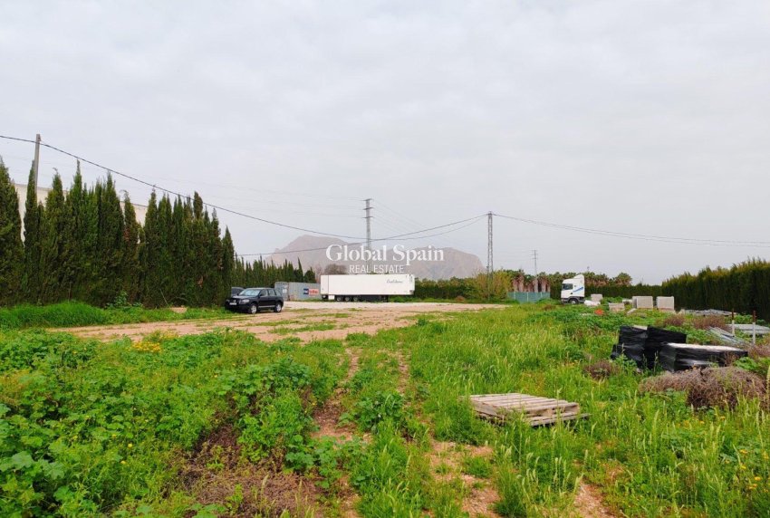 Venta - TERRENO -
ORIHUELA