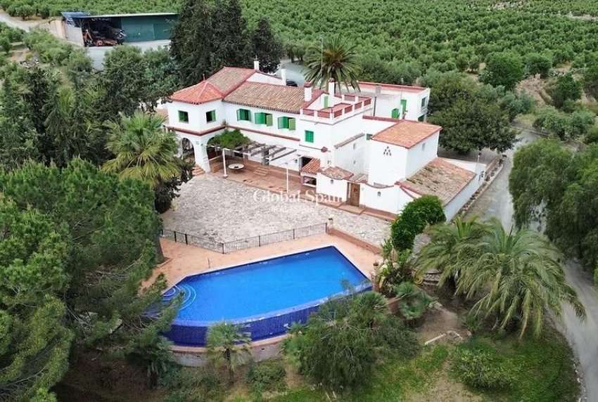 Venta - TERRENO -
PUERTO LUMBRERAS - Inland