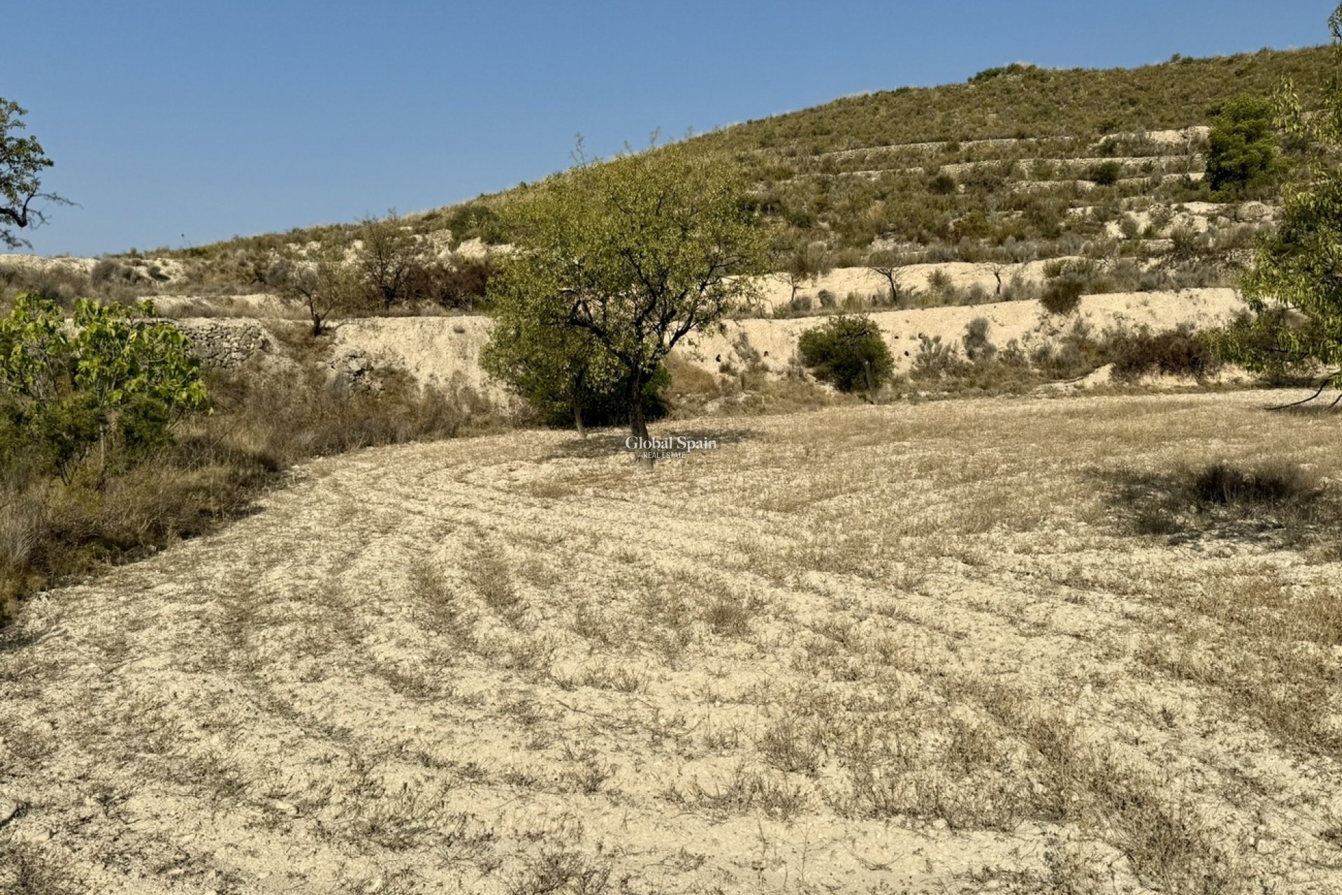 Venta - TERRENO -
RELLEU - Costa Blanca