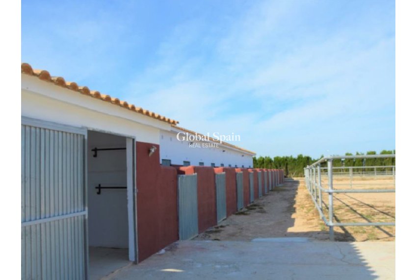 Venta - TERRENO -
SAN MIGUEL DE SALINAS - Inland