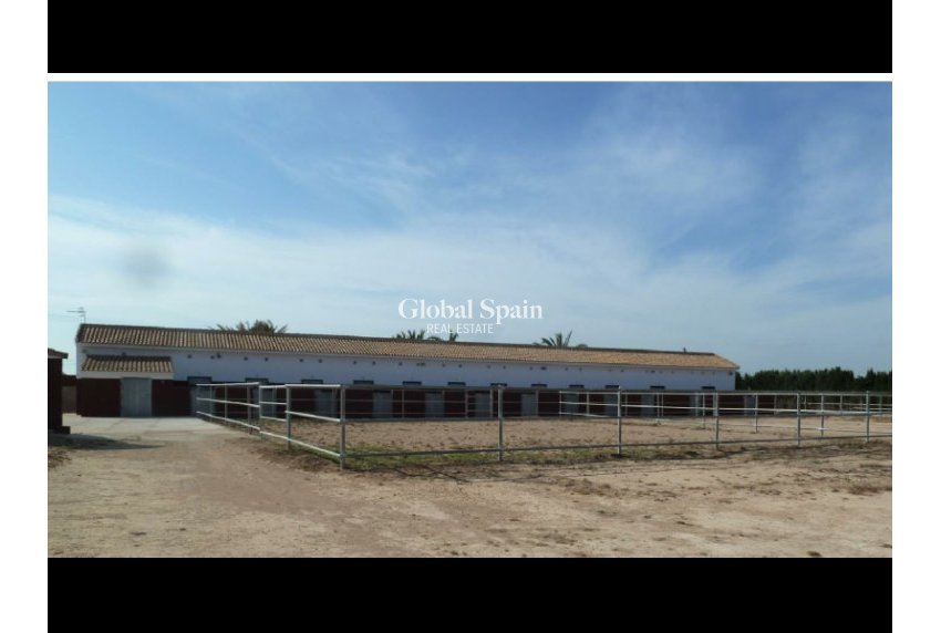 Venta - TERRENO -
SAN MIGUEL DE SALINAS - Inland