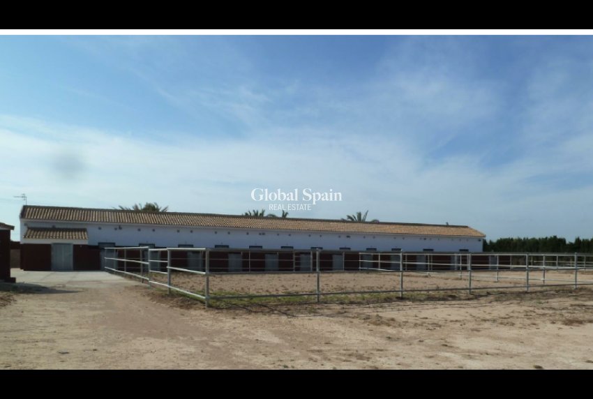 Venta - TERRENO -
SAN MIGUEL DE SALINAS - Inland