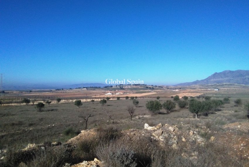 Venta - TERRENO -
TORRE DEL RICO - Inland