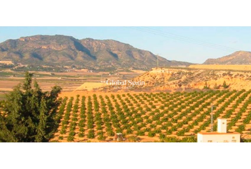 Venta - TERRENO -
TORRE PACHECO - Inland