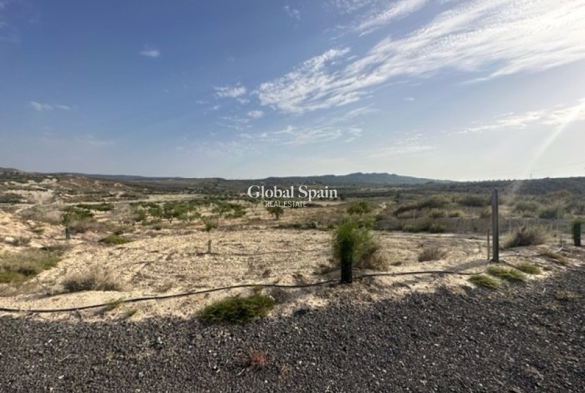Venta - TERRENO -
TORREMENDO - Costa Blanca