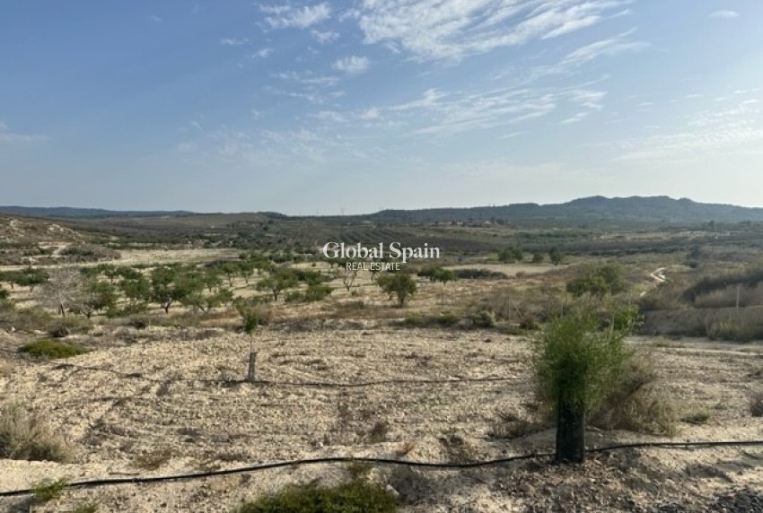 Venta - TERRENO -
TORREMENDO - Costa Blanca