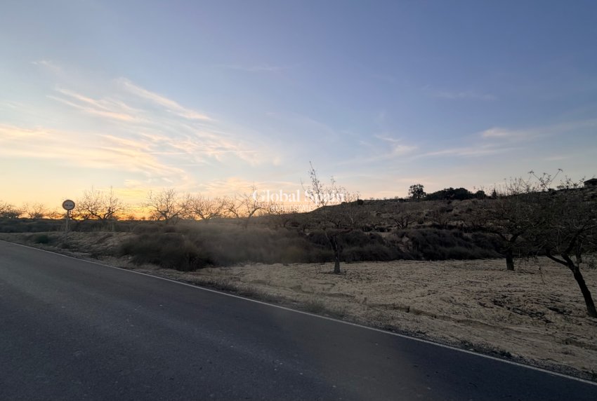 Venta - TERRENO -
Torremendo - Costa Blanca
