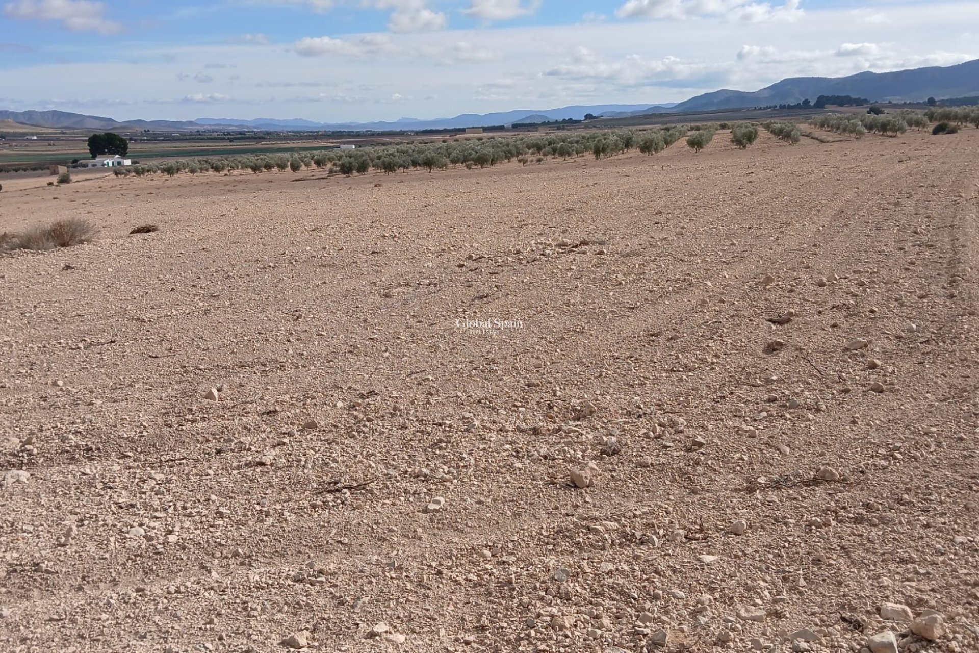 Venta - TERRENO -
YECLA - Inland