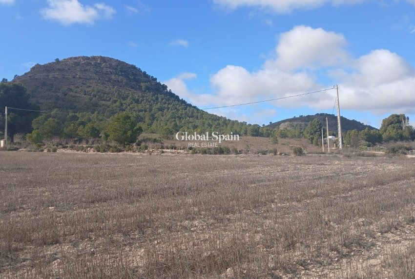 Venta - TERRENO -
YECLA - Inland