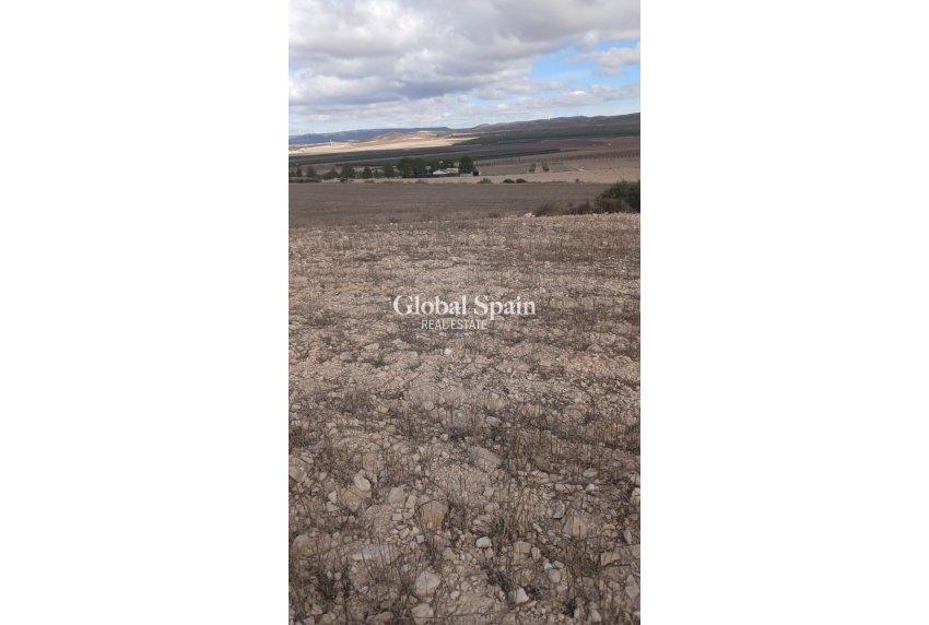 Venta - TERRENO -
YECLA - Inland