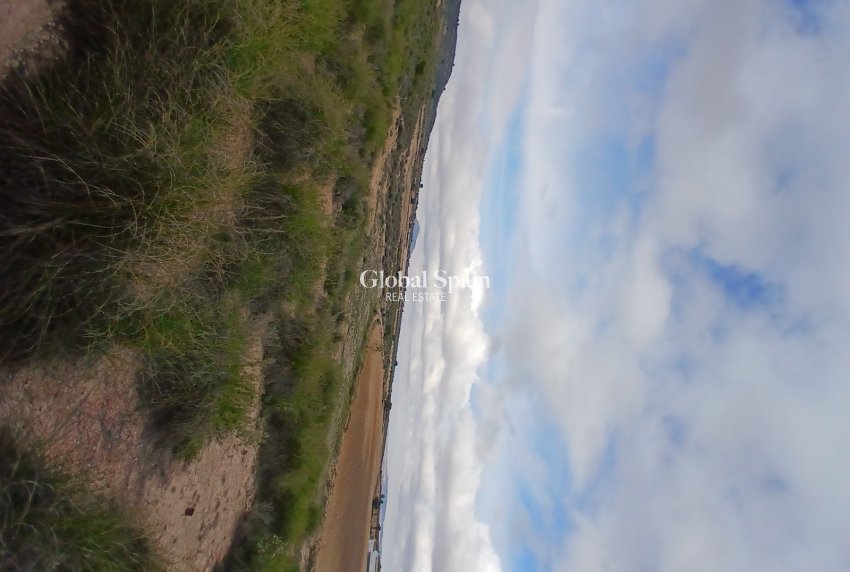 Venta - TERRENO -
YECLA - Inland