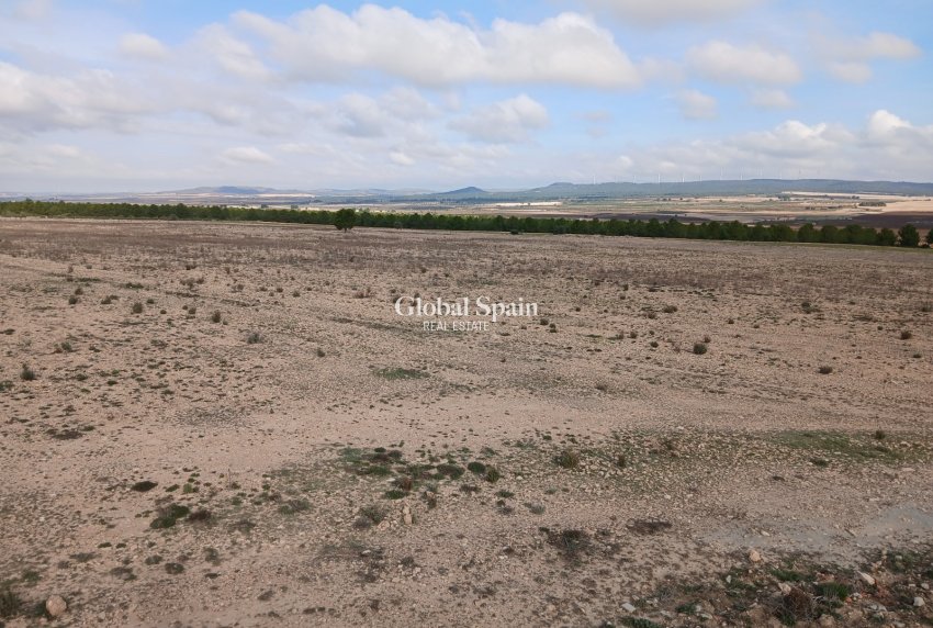 Venta - TERRENO -
YECLA - Inland