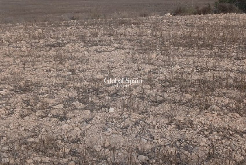 Venta - TERRENO -
YECLA - Inland