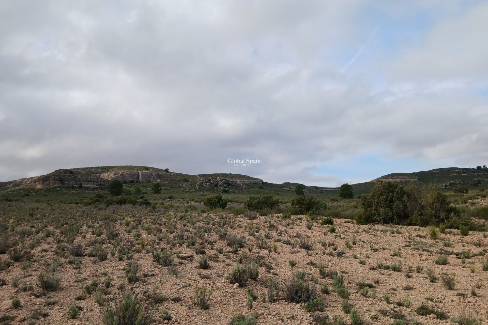 Venta - TERRENO -
YECLA - Inland