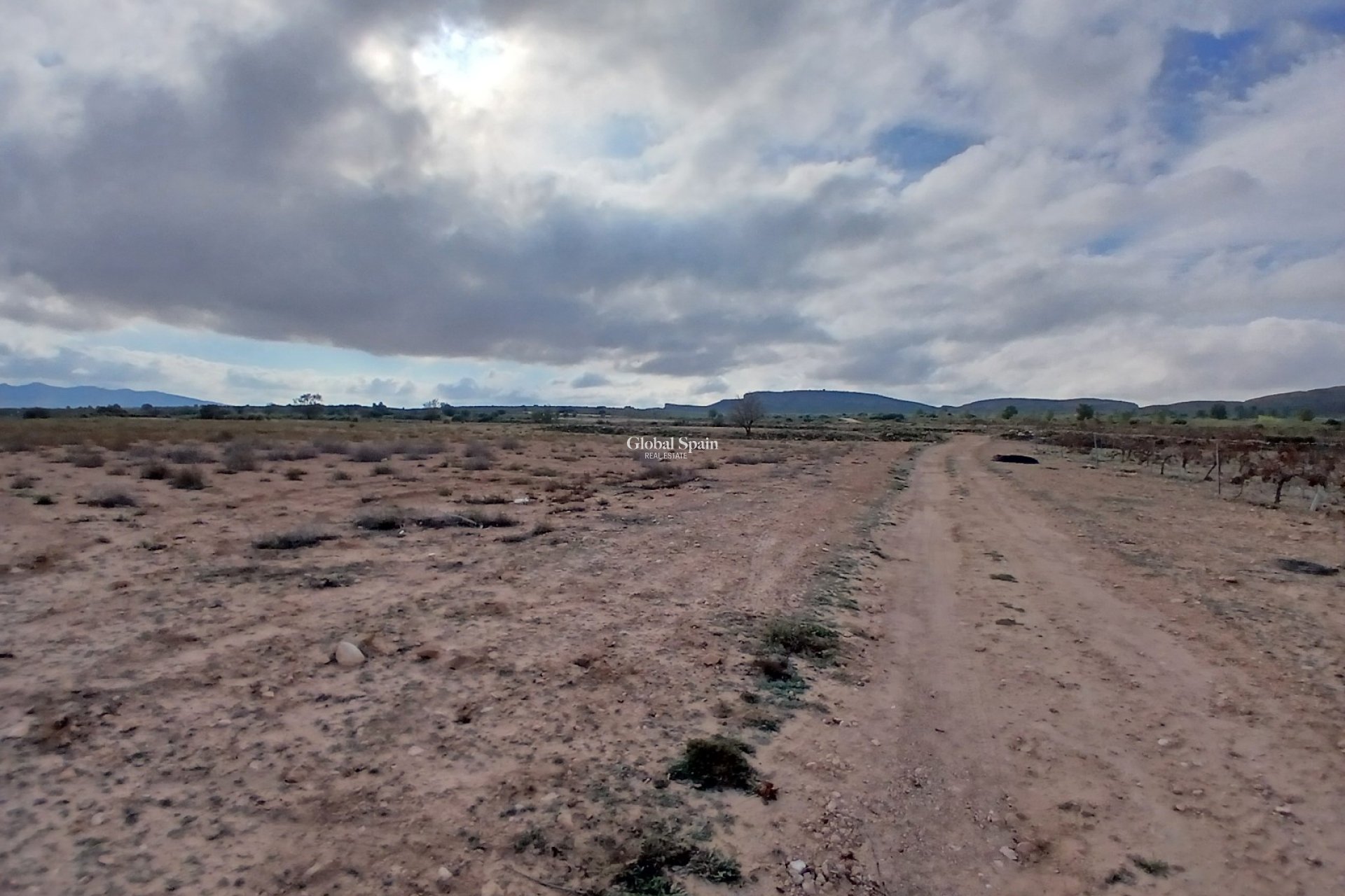 Venta - TERRENO -
YECLA - Inland