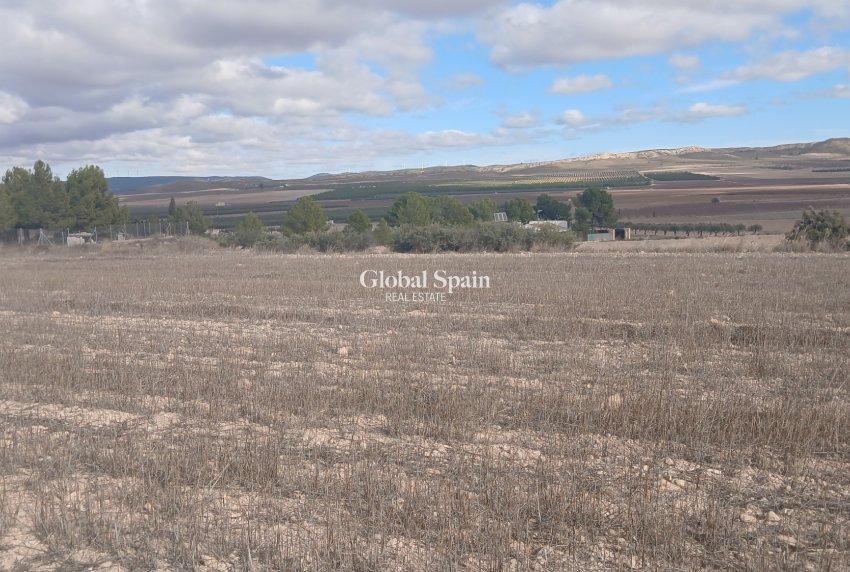 Venta - TERRENO -
YECLA - Inland