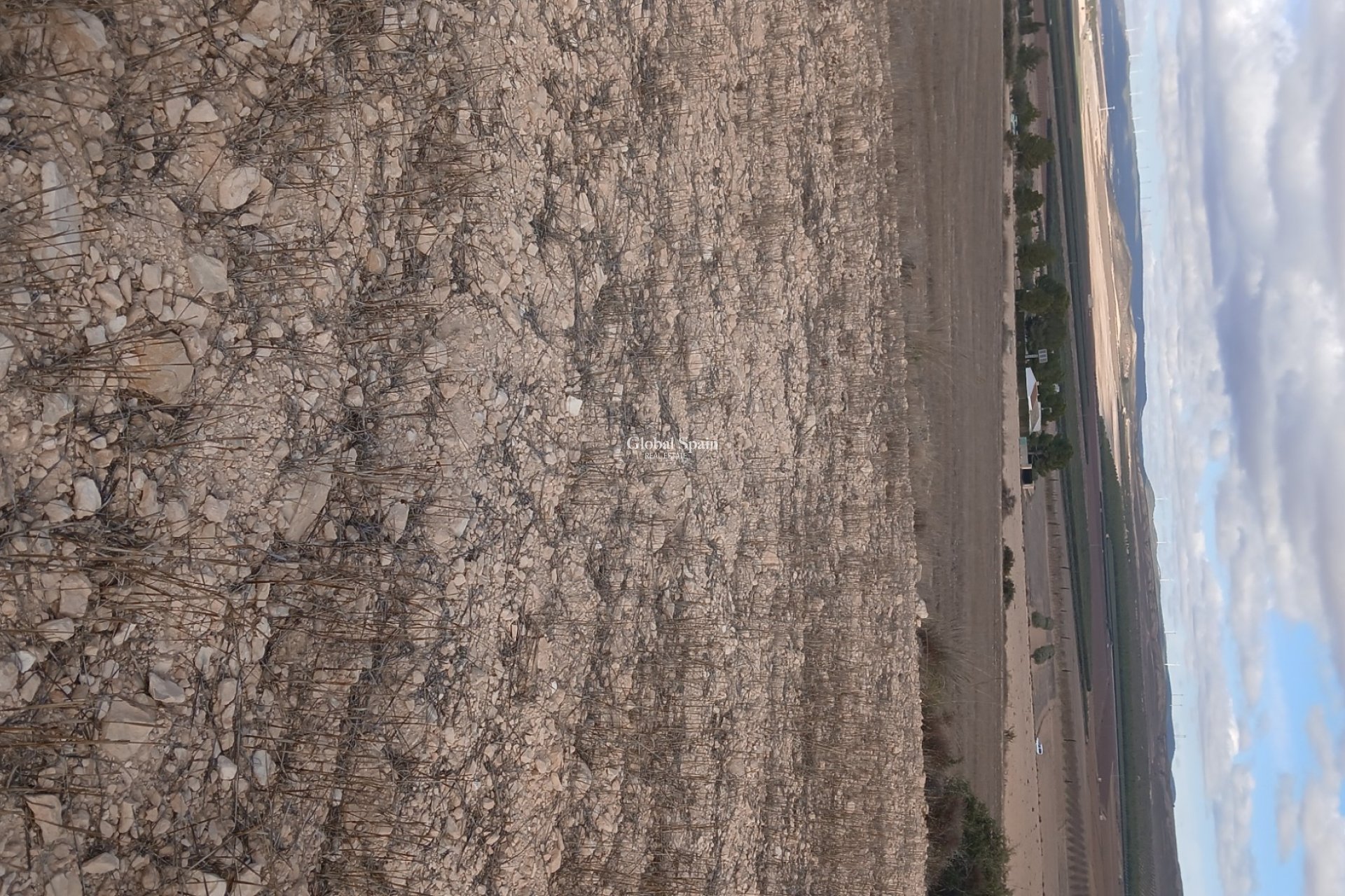 Venta - TERRENO -
YECLA - Inland