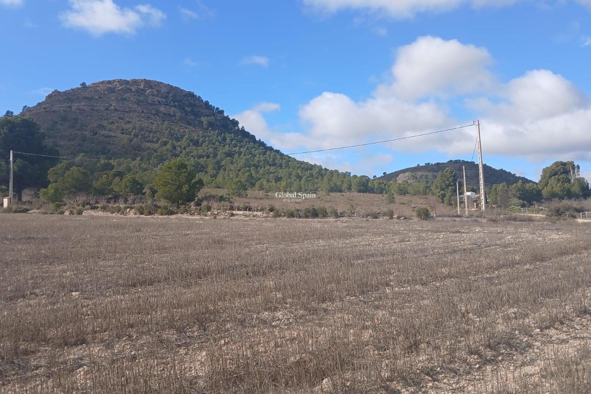 Venta - TERRENO -
YECLA - Inland