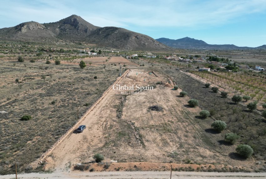 Venta - Tierra -
Barbarroja