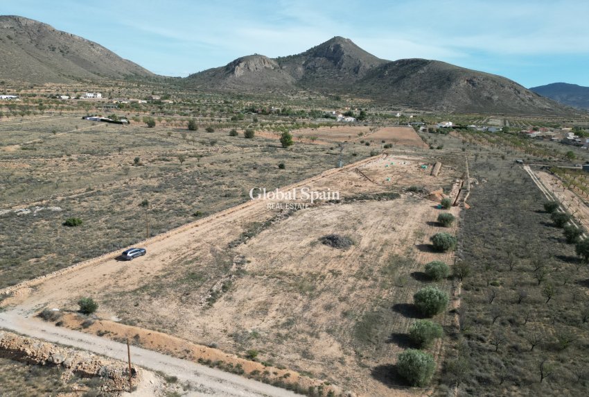 Venta - Tierra -
Barbarroja