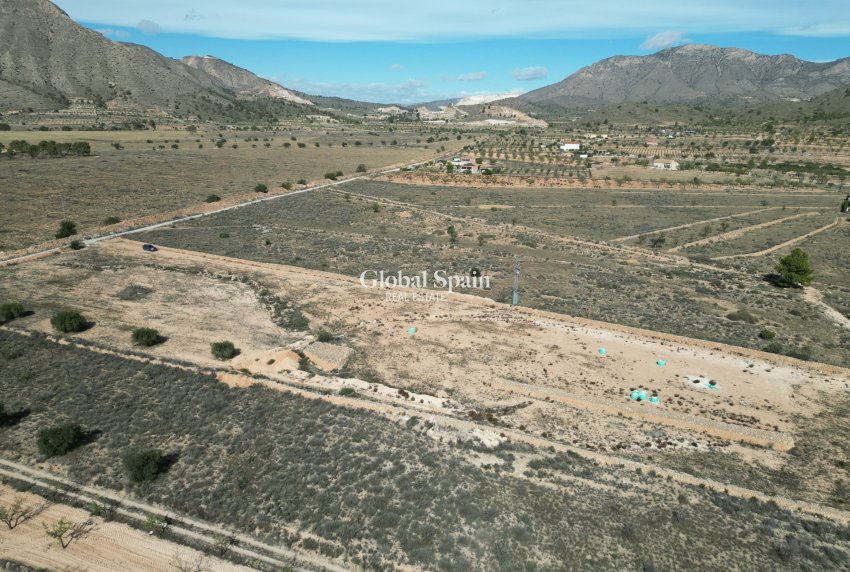 Venta - Tierra -
Barbarroja