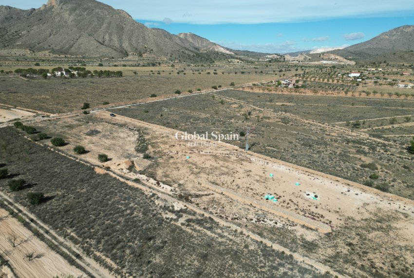 Venta - Tierra -
Barbarroja