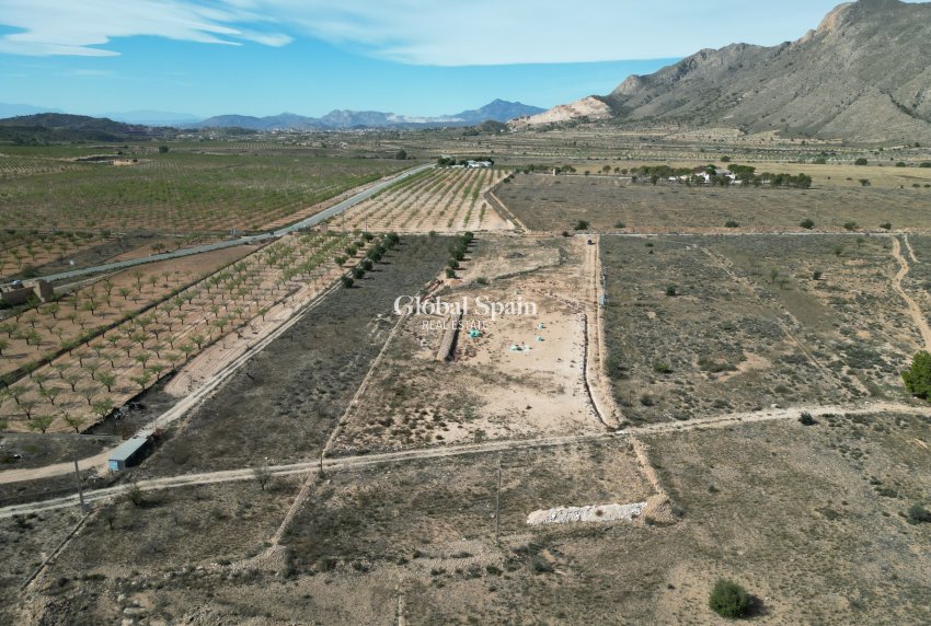 Venta - Tierra -
Barbarroja