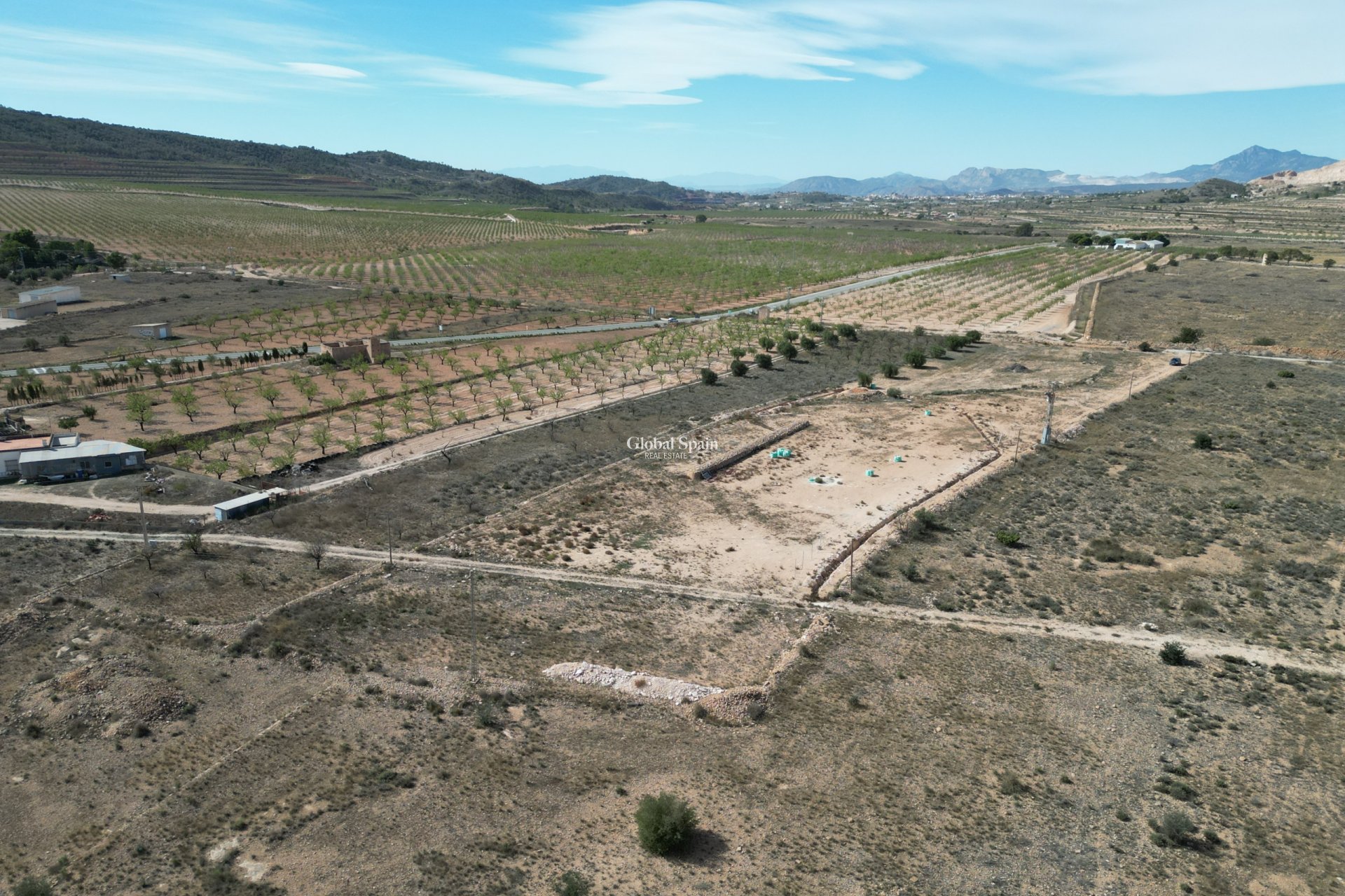 Venta - Tierra -
Barbarroja