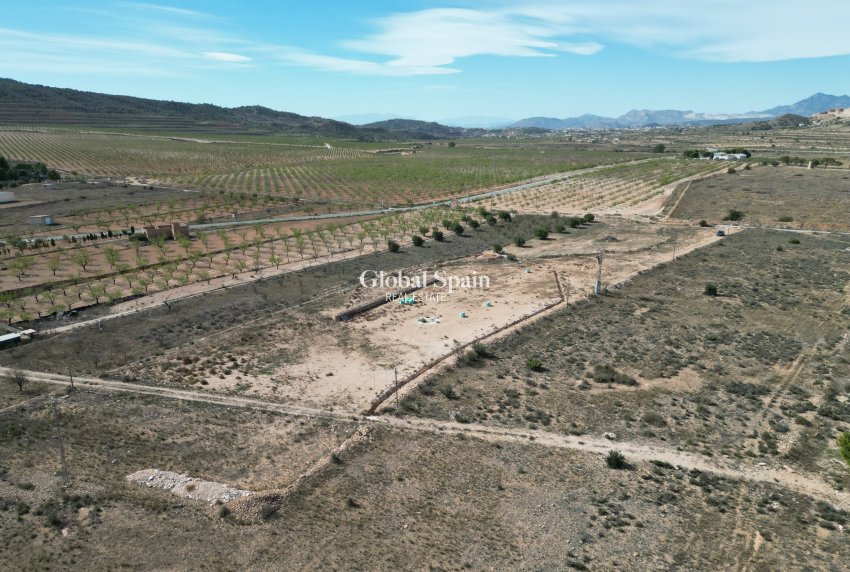 Venta - Tierra -
Barbarroja