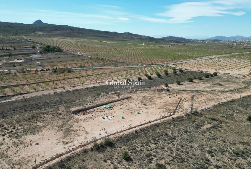 Venta - Tierra -
Barbarroja