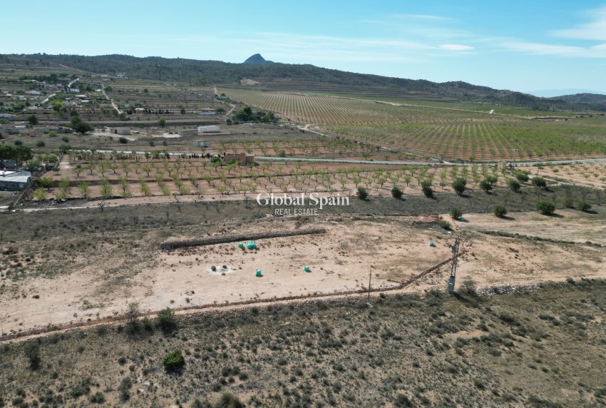 Venta - Tierra -
Barbarroja