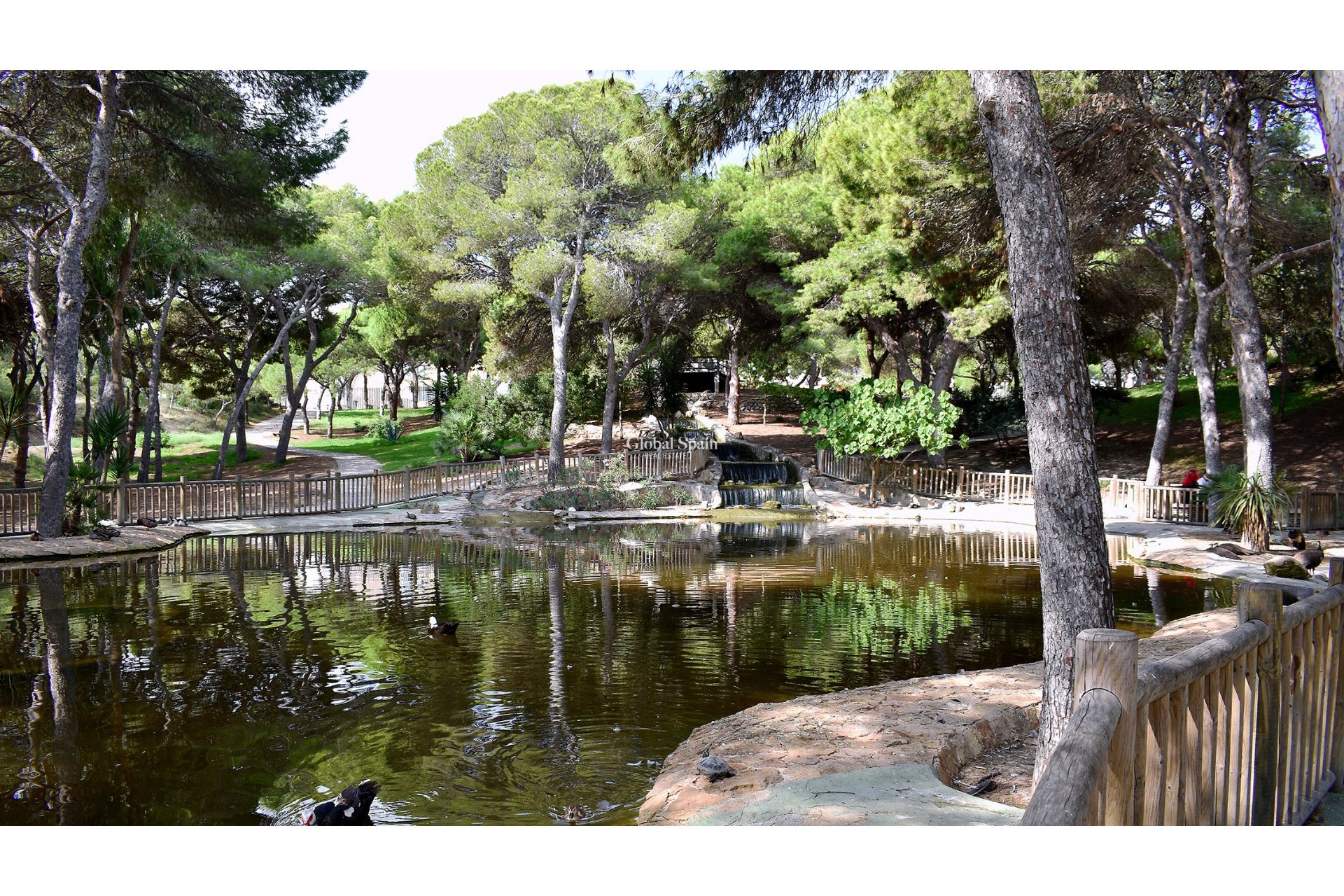 Venta - Tierra -
GUARDAMAR DEL SEGURA - Guardamar pueblo