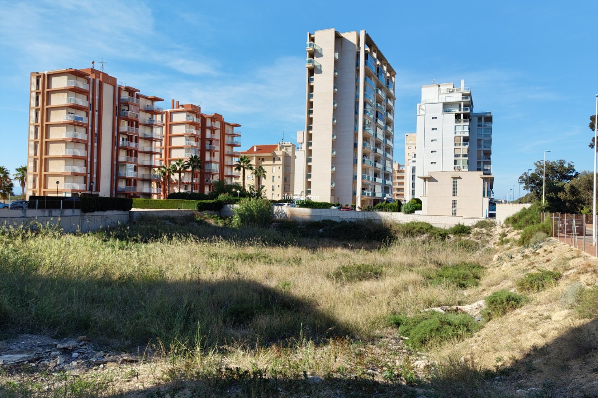 Venta - Tierra -
GUARDAMAR DEL SEGURA - Guardamar pueblo