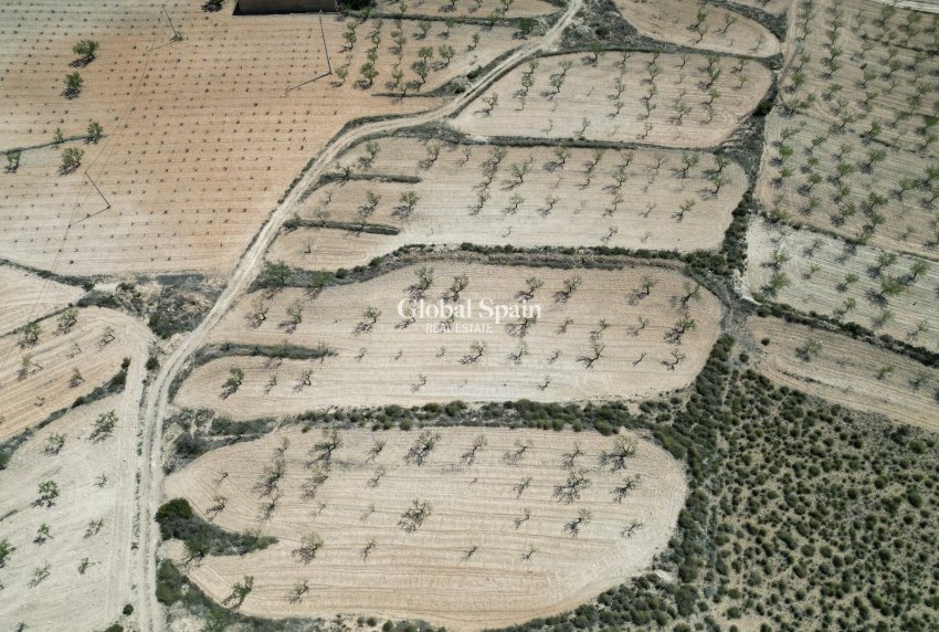 Venta - Tierra -
La Alberquila