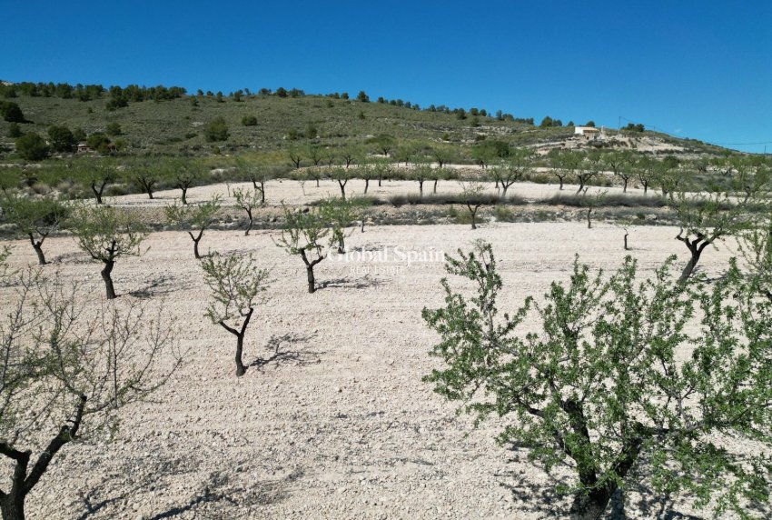 Venta - Tierra -
La Alberquila