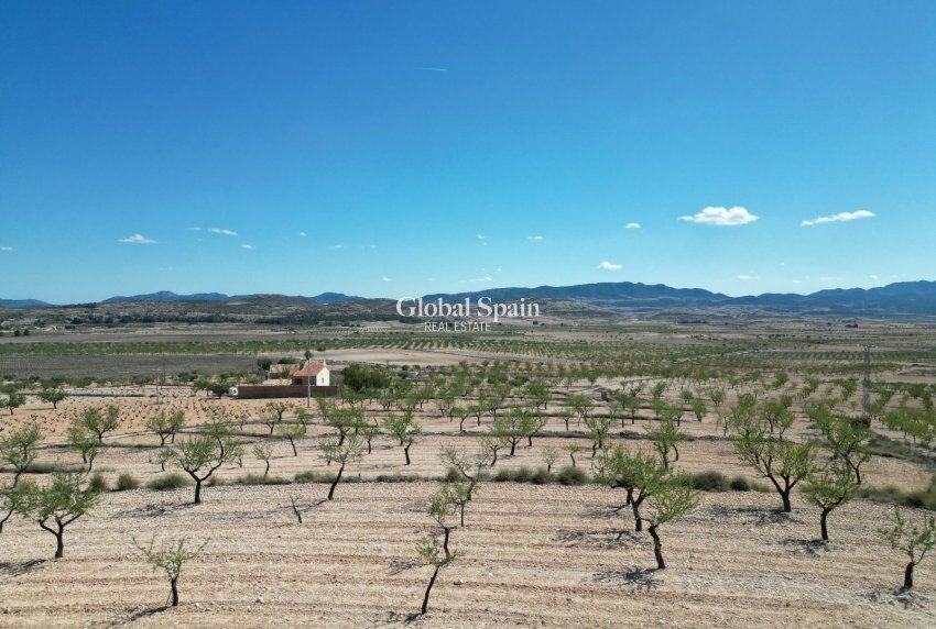 Venta - Tierra -
La Alberquila