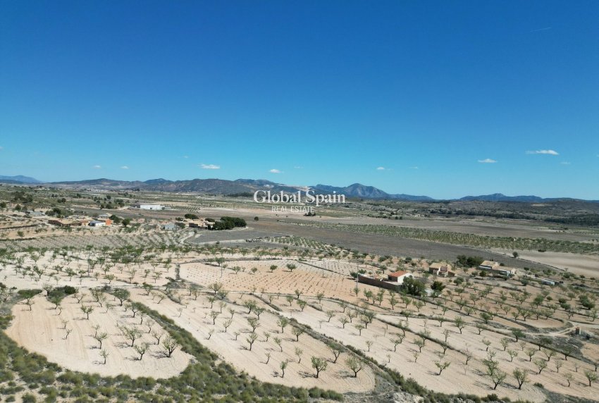 Venta - Tierra -
La Alberquila