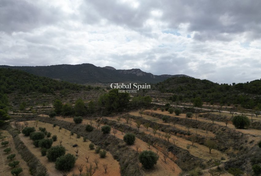 Venta - Tierra -
La Zarza