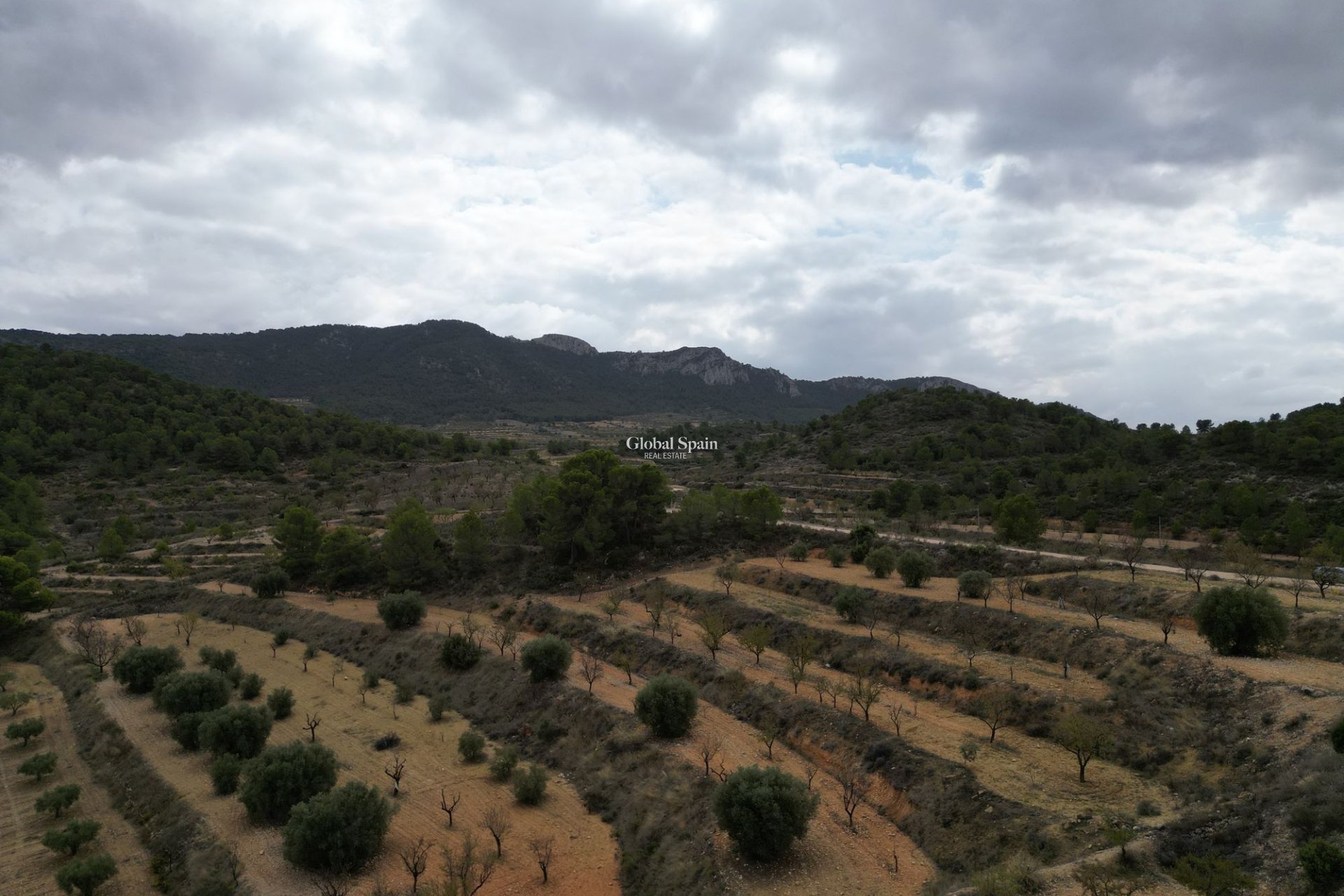 Venta - Tierra -
La Zarza