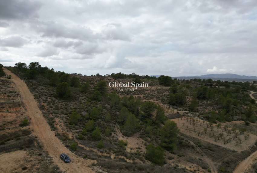 Venta - Tierra -
La Zarza